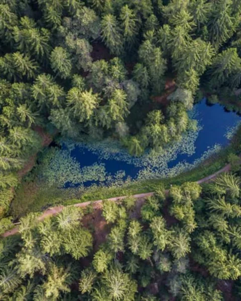 [Translate to English:] sulfner weiher