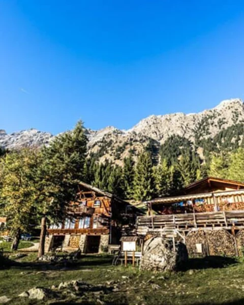 [Translate to English:] Leiter Alm