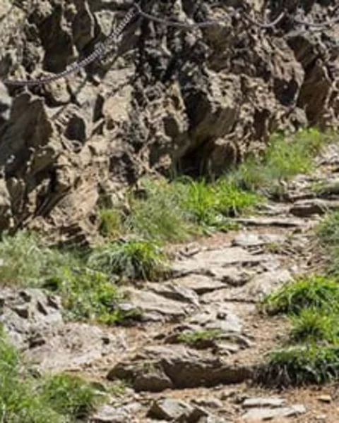 [Translate to English:] vellauer felsenweg 1k