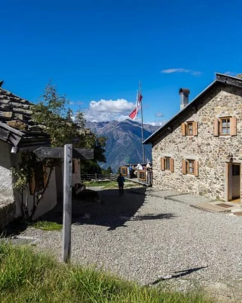 [Translate to English:] Die 8 wichtigsten Wege und Almen in Algund