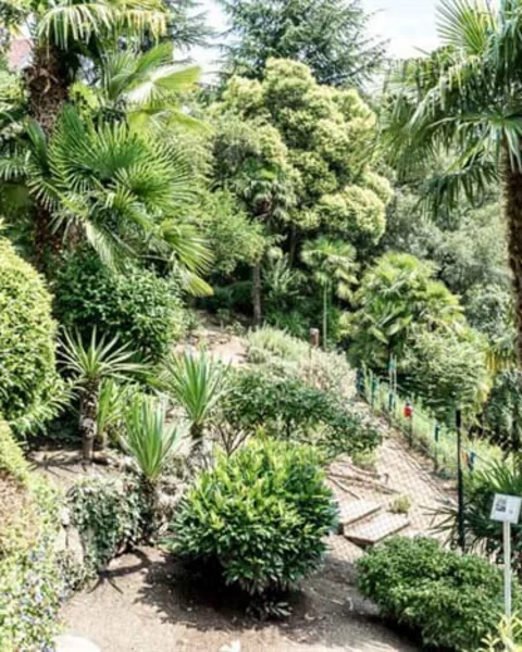[Translate to English:] Öffentlicher Kräutergarten Meran