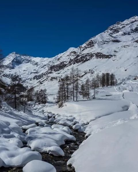 [Translate to English:] Von Pfelders zur Lazinser Alm