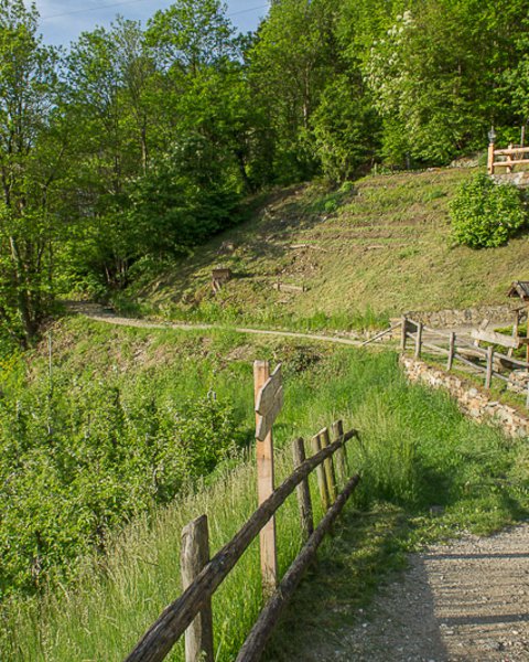 [Translate to English:] Marlinger Waalweg mit Geländer