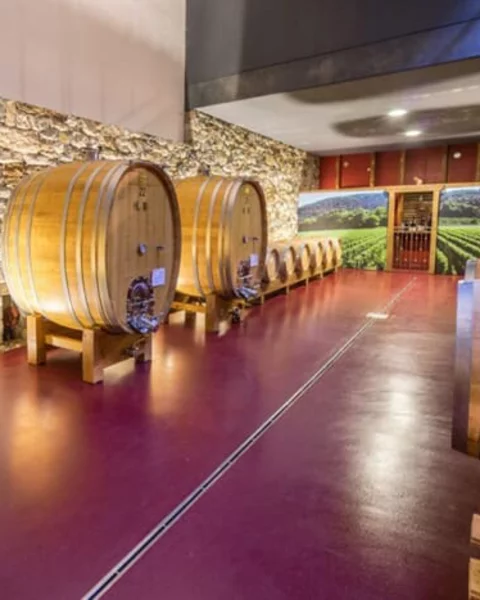 [Translate to English:] Weingut Plonerhof