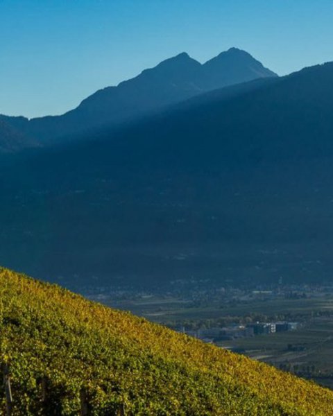 [Translate to English:] Labers sopra Merano