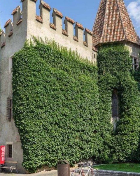 [Translate to English:] castello principesco 