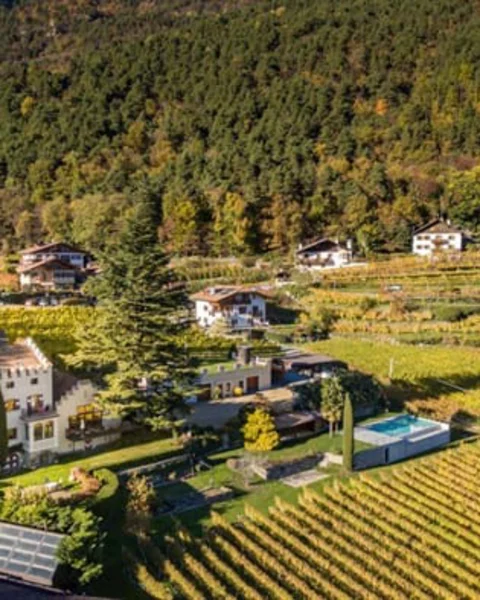 [Translate to English:] Die Wein (Kultur) Landschaft über Algund entdecken