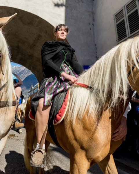 [Translate to English:] haflinger umzug 01627