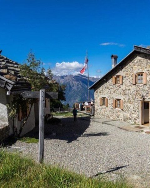 [Translate to English:] aschbach naturnser alm 04810 1024x683 2