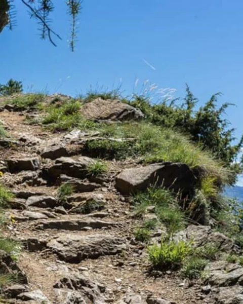 [Translate to English:] Der Vellauer Felsenweg