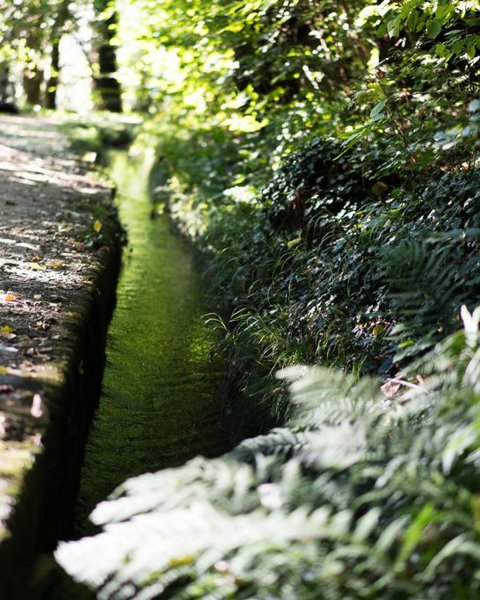 [Translate to English:] Waal mit Steinmauer am Maiser Waalweg