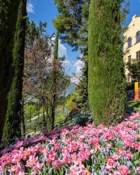 [Translate to English:] Die Gärten von Schloss Trauttmansdorff