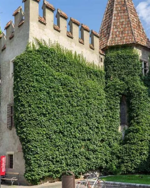 [Translate to English:] Die Landesfürstliche Burg