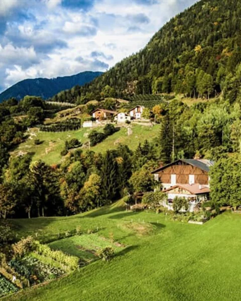 [Translate to English:] Hofschank Unterweiherhof