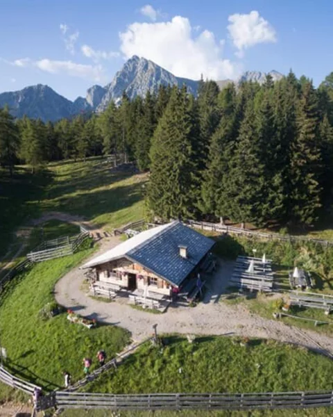 [Translate to English:] Moschwald Alm