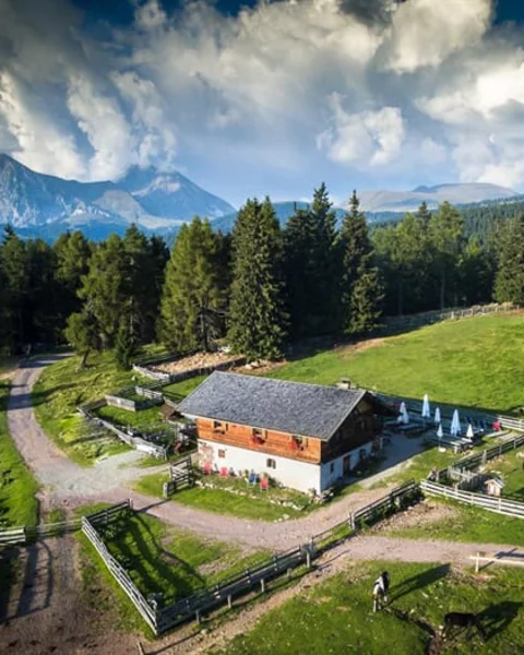 [Translate to English:] wurzer alm aerial  2