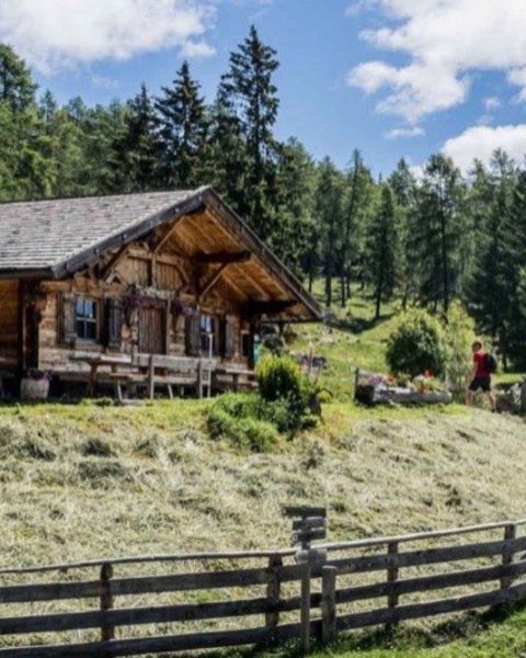 [Translate to English:] moschwald alm 00478 1024x683